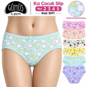 3071 Gümüş Kız Desenli Külot