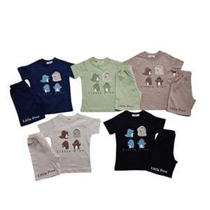 Damla 06,24 ay little dino erkek takım 25860