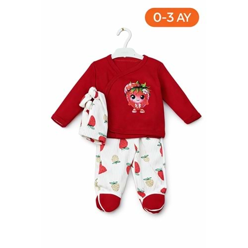 Bebisso Meyveli 3lü Zıbın set