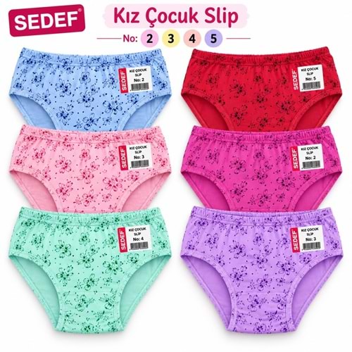 1041 Sedef Kız Çocuk Slip 12*