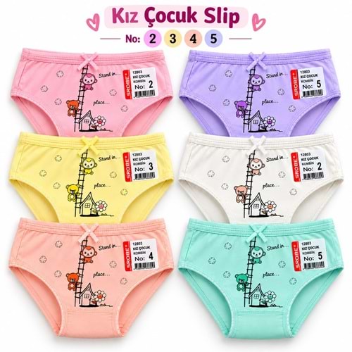 1083 Sedef Baskılı Kız Çocuk Slip 12*