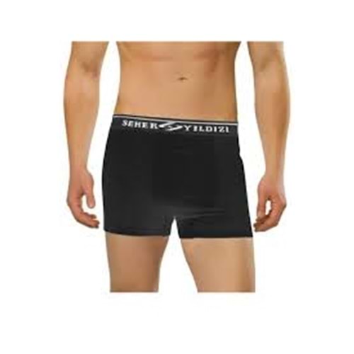 Seher Erkek Boxer Siyah L 6*