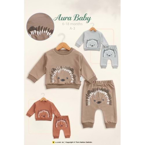 Aura Baby Hedgehog Erkek Takım 6-18 Ay A-3